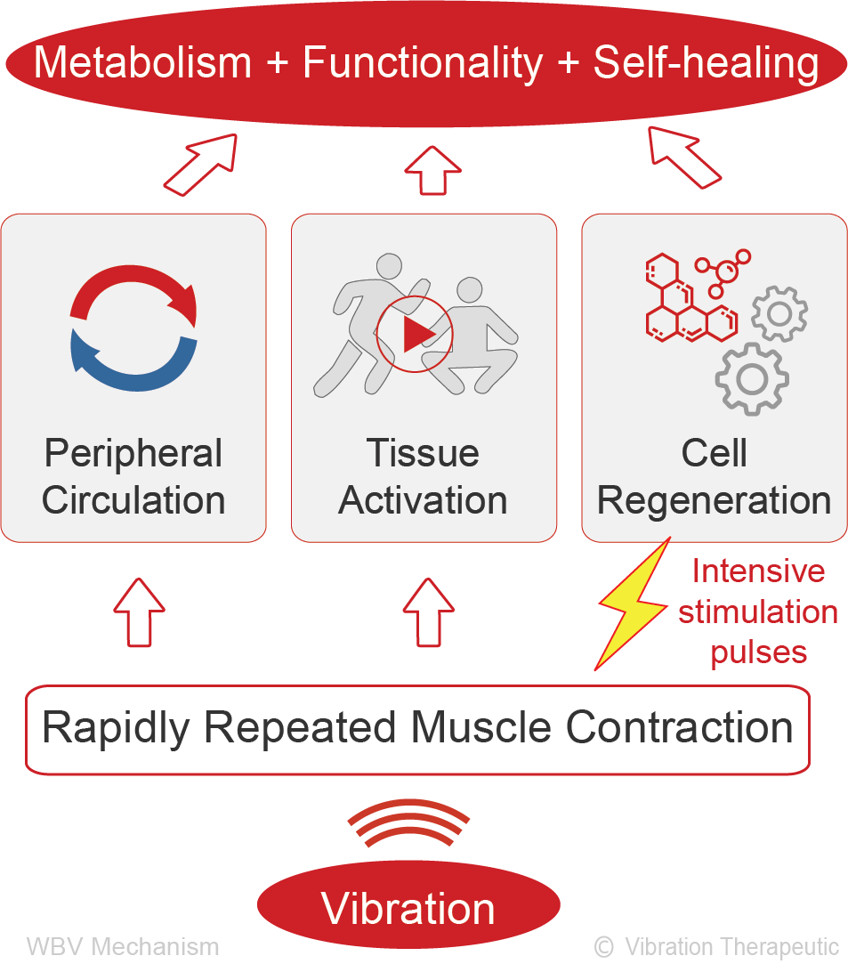 Vibration Therapy Mechanism Chart
