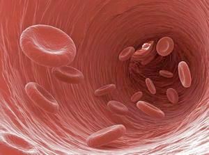 Blood flow