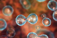 vibration-stimulate-cell-regeneration